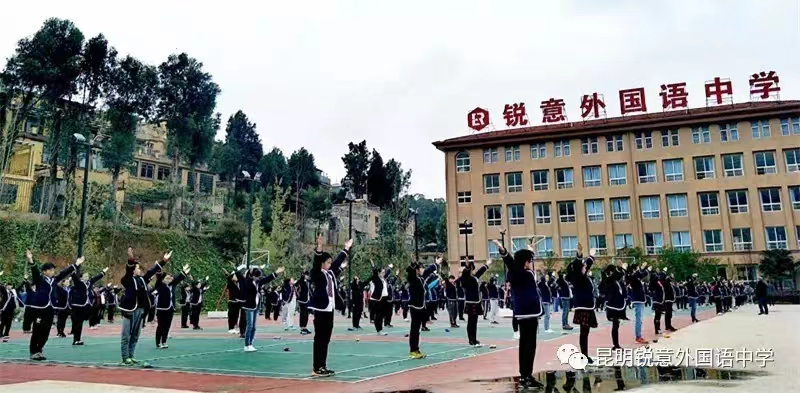 2024年小升初报名流程