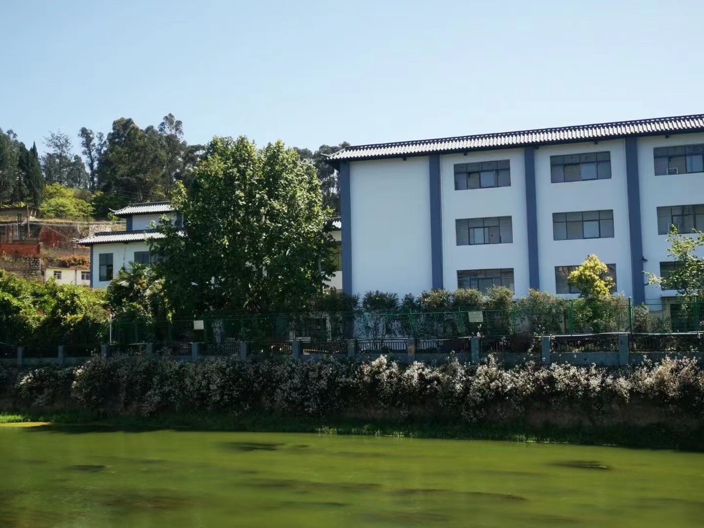 昆明佑亦丰初级中学师资力量怎么样？