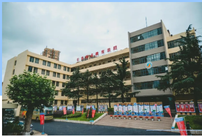 云南西点文化学校招生办公室电话是多少？