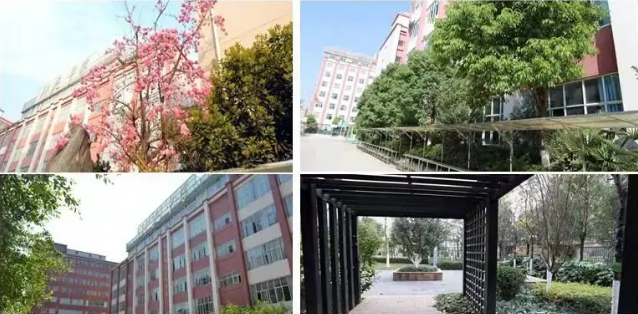 昆明钟英培训学校校园环境怎么样？