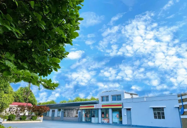 2024年昆明金色学校小升初入学须知