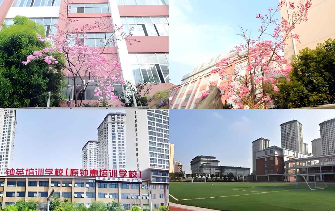 昆明钟英培训学校深度评价：复读教育的优质之选