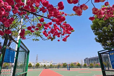 校园风景