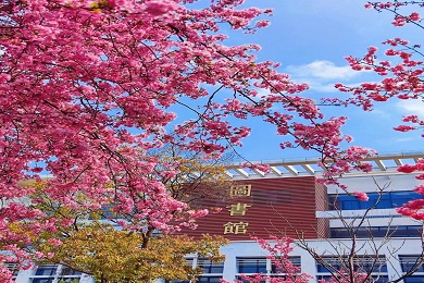 校园风景