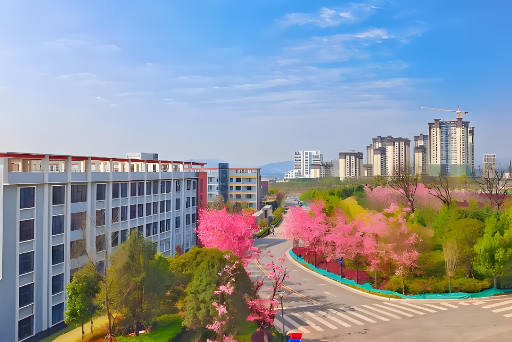 2025年云南省临沧市高考复读学校学费大约多少，一文掌握择校成本！