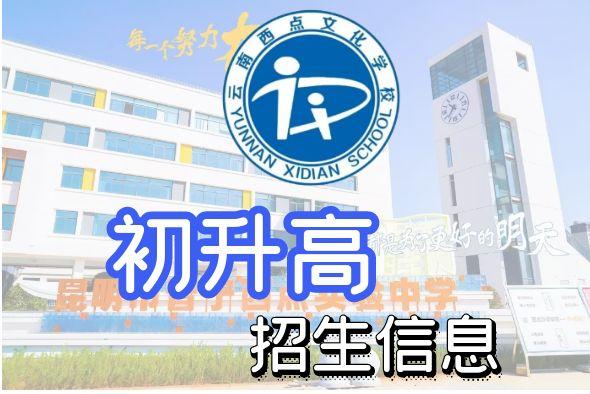 初升高详情