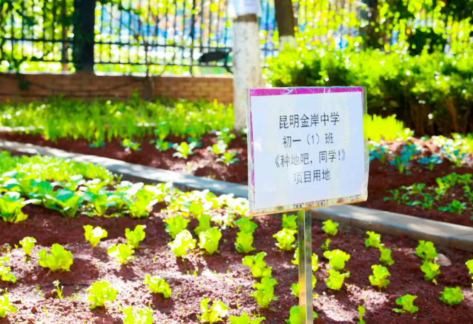 2026年迪庆复读生高考还能加分吗？