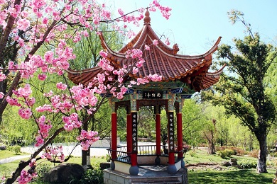 校园环境