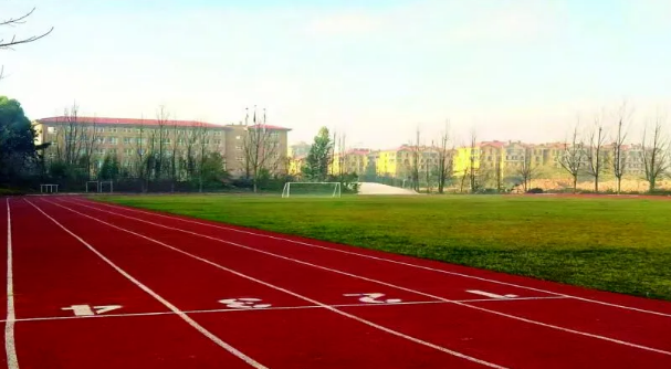 1715410038830026.png