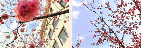 1715591793894044.png