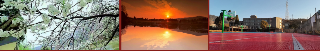 50a913c8a89365e1bb76a96ed194a3c.png