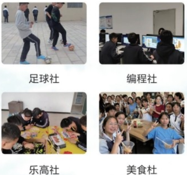 15.png