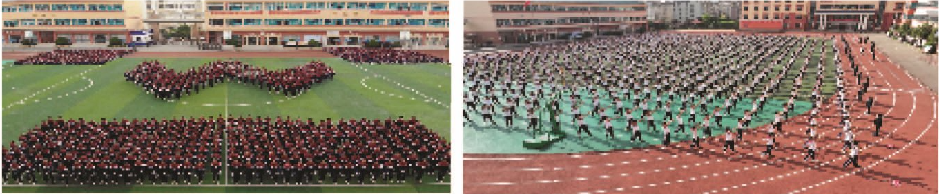 15.png